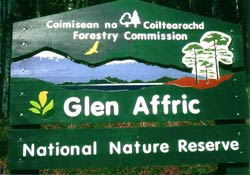 Réserve naturelle nationale de Glen Affric, près de Shenval B&B, Highlands Ecosse